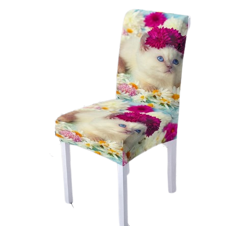 cat chair cover