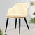 White Velvet Scandinavian Chair Cover